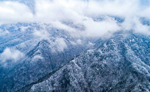 云横秦岭家何在,雪拥蓝关马不前的意思