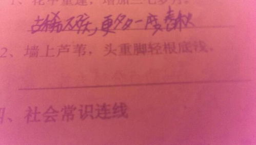 墙上芦苇,头重脚轻根底浅.山间竹笋,嘴尖皮厚腹中空的意思