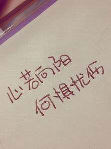 心若向阳正能量的句子有哪些?