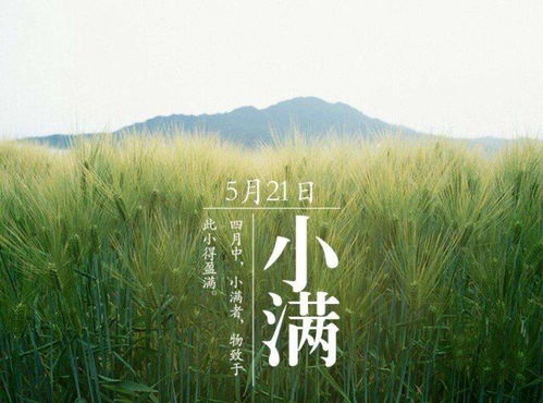 小满的含义是什么意思