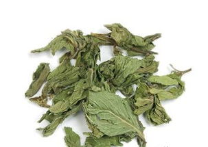 桑叶,侧柏叶,苦丁茶有什么作用,怎么用