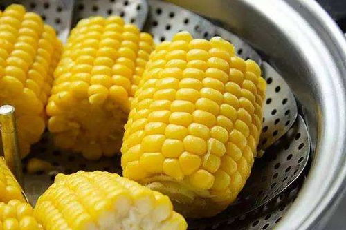 玉米的含糖量高吗?