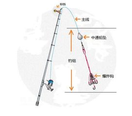 使用海竿的基本步骤