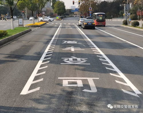 可变导向车道线什么意思