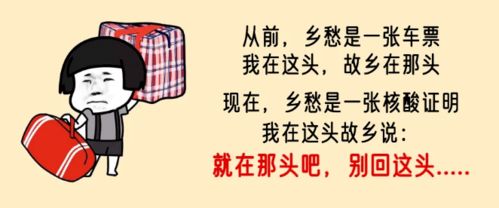 回来了英文怎么说 回来怎么读英语