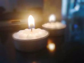 逝者已逝 生者安息什么意思