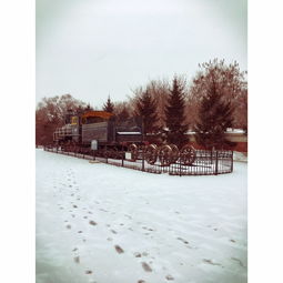 我家在东北松花江上,那里有森林煤矿,还有那漫山遍野的大豆高粱.九一八