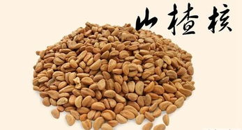 山楂籽的功效与作用 山楂籽的作用是什么