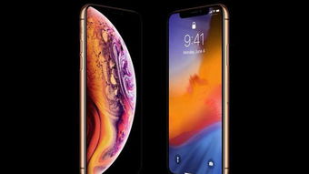 XS是什么意思 带你详细了解一下