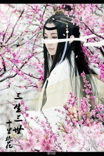 《三生三世十里桃花》和《三世三世枕上书》是一本书吗