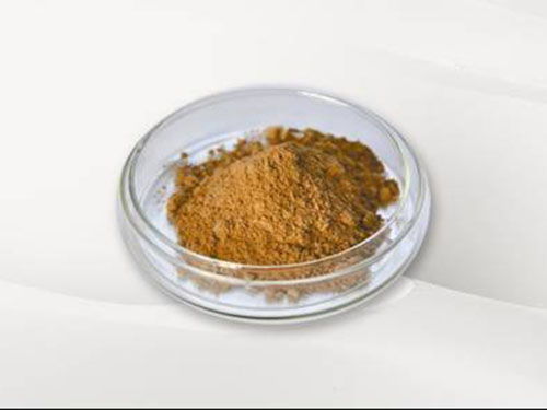 虫草粉的功效与作用和吃法是什么?