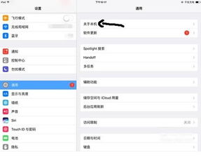 苹果型号查询什么版本