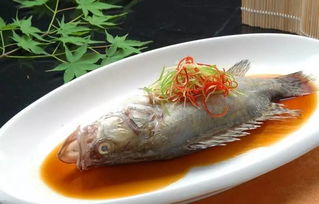 桂鱼怎么做好吃又简单?