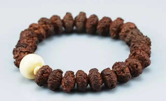 十八菩提子叫啥名字