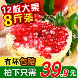中国第一家团购的网站是什么