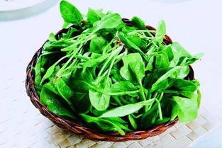 菠菜和鸡蛋可以一起吃吗?