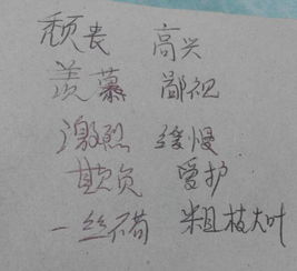 欺凌的反义词有哪些