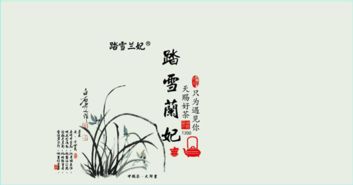 踏雪兰妃茶分几级