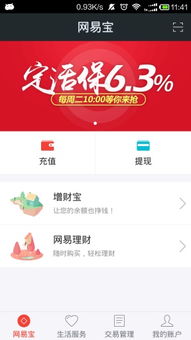 网易宝是什么