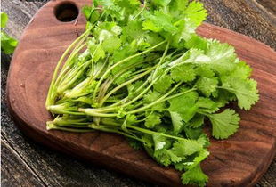 香菜是发物吗?