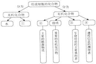 化学fe表示什么 还可以表示