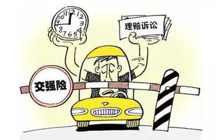 机动车强制险多少钱一年