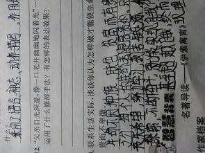 高贵的生命不卑微的理解是什么?