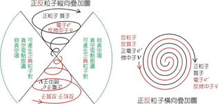 自旋量子数是什么?