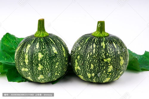 青南瓜的美味做法