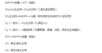 光合作用的化学方程式,急!