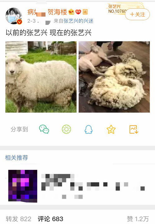 薅羊毛是什么意思?