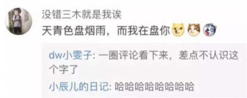 请问,盘你是什么意思?