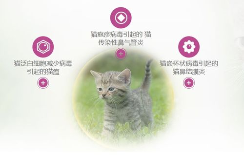 妙三多是弱毒还是灭活