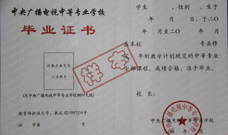 大专刚毕业,还可以上什么学