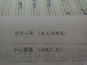 有反义词的成语，有近义词的成语有哪些