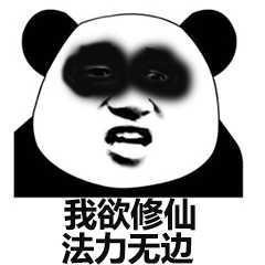 聊天中bz是什么意思