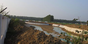 许昌未来30天天气预报