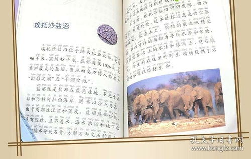 奇观的拼音 词语奇观的拼音