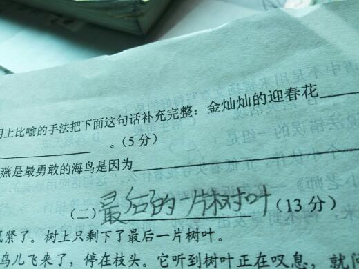 迎春花像什么比喻句