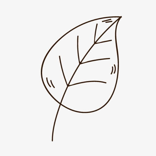 树叶图片大全简笔画