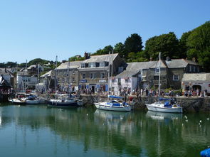 winds是什么意思