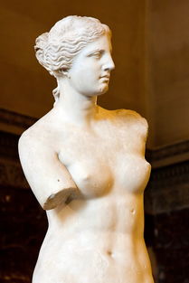 维纳斯是罗马神话中的什么