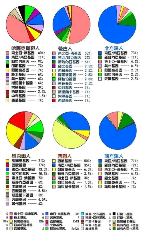 关于人种分类