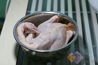 白条鸡是什么鸡