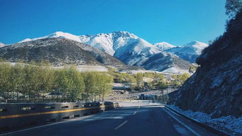 孤城遥望玉门关全诗是什么?