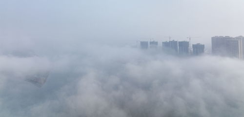 什么是平流雾?