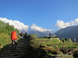 nepal是哪个国家?