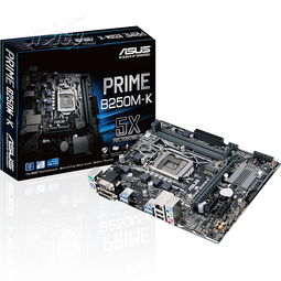 华硕b250m-a能插两根2666吗