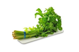 芹菜为什么会苦