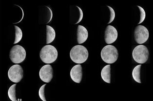 什么是月相的变化?